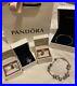 2-Authentic-Pandora-Sterling-Silver-bracelets-with-15-charms-19cm-01-bpih