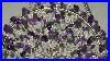 Amethyst-And-Glass-Crystals-Tree-Of-Life-In-A-4-Inch-Hoop-12-Wires-16-Inches-Long-22gauge-Wire-01-wkt