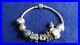Authentic-Pandora-Charm-Bracelet-With-9-ALE-Charms-925-Sterling-Silver-01-mtqc