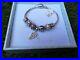 Bnwt-Chamilia-Silver-7-5in-Charm-Bracelet-With-7-Charms-Brand-New-With-Tags-01-lki