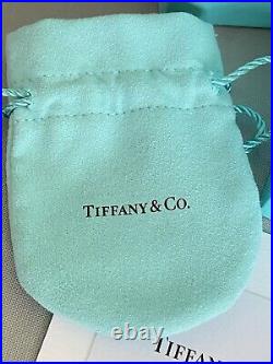 GENUINE Tiffany & Co Vintage Sterling Silver 925 Charm Bracelet & Box, Stunning