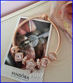Genuine Pandora 14k Rose Gold Snake Chain Bracelet 18cm +7 Charms Ale R Met