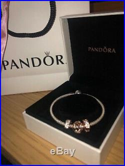 Genuine Pandora, 925 sterling silver Mesh bracelet, Size 17cm with charms