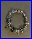 Genuine-Pandora-Bracelet-20-Charms-FULL-RRP-800-RARE-SOLD-OUT-DISCONTINUED-01-ez