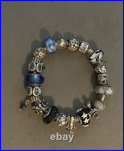 Genuine Pandora Bracelet & 20 Charms FULL RRP £800! RARE SOLD OUT DISCONTINUED