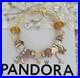 Genuine-Pandora-Bracelet-Bangle-Gold-Signature-Clasp-Gold-Charms-19-cm-Box-01-hyqw