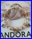 Genuine-Pandora-Bracelet-Silver-With-Gold-Clasp-Gold-Charms-ALE-MET-19-cm-Box-01-unoe