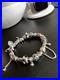 Genuine-Pandora-Bracelet-complete-with-charms-01-wt