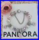 Genuine-Pandora-Silver-Bracelet-Silver-pink-Charms-19-cm-Pandora-Box-01-nn