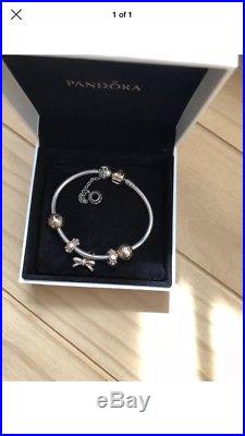 Genuine pandora Rosegold and Silver 18cm bracelet with Charms