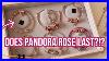 My-Pandora-Rose-Gold-Charm-Collection-Does-Pandora-Rose-Last-Pandora-Bracelet-Pandora-Charms-01-gigx