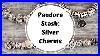My-Pandora-Stash-Silver-Charms-01-hol