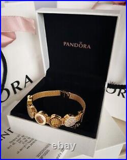 PANDORA 14k GOLD REFLEXIONS MESH BRACELET 17cm +5 CHARMS, SAFETY CHAIN AND MORE