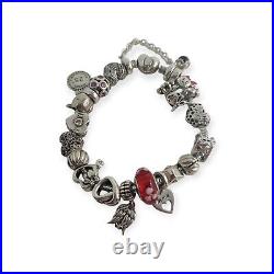 PANDORA Full Charm Bracelet S925 ALE 73.7g