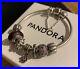 PANDORA-Silver-18cm-Bracelet-4-Pandora-Charms-3-Pandora-Clips-Safety-Chain-01-fnu