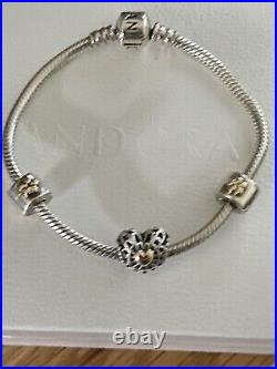 PANDORA Silver 18cm Bracelet, L/E Pandora Charm, 2 Pandora Clips, Silver & 14ct