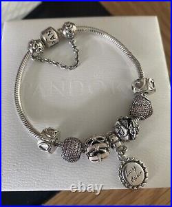 PANDORA Silver 19cm Bracelet, 2 Clips, 5 Charms & A Safety Chain-A Loving Mother
