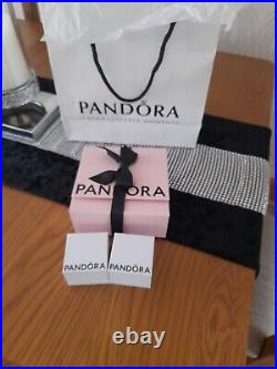 Pandora 19cm Bracelet With 2 Charms New Without Tags