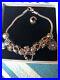 Pandora-ALE-925-sterling-silver-8-charm-bracelet-01-tase