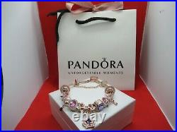 Pandora Bracelet Charms