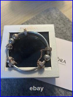 Pandora Bracelet Charms Chain