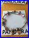 Pandora-Bracelet-With-Charms-01-stpe
