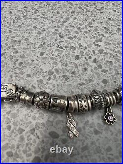 Pandora Bracelet With Charms X 22