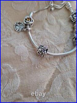 Pandora Bracelet with 10 charms new