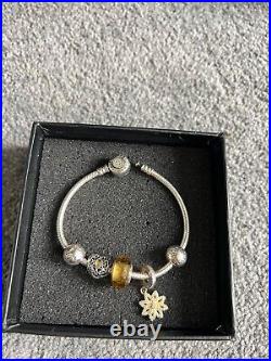 Pandora Bracelet with 3 charms and 2 clips RRP 235£