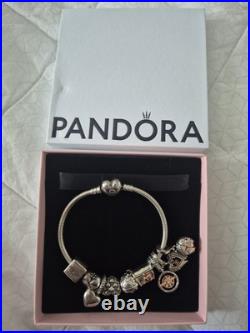 Pandora Bracelet with 9 Rare Club Charms (2014-2022)