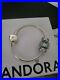 Pandora-Bracelet-with-Charms-16cm-unworn-01-uw