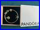 Pandora-Harry-Potter-charm-bracelet-silver-with-snitch-catch-and-4-charms-01-jno