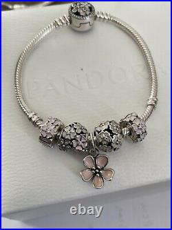 Pandora Meadow Bracelet Set1