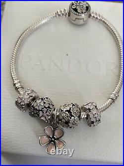 Pandora Meadow Bracelet Set1