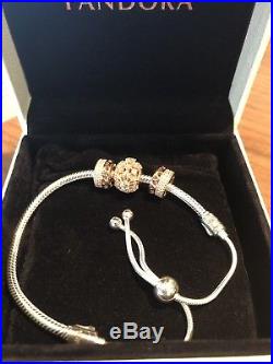 Pandora Moments Silver Sliding Bracelet With 3 Charms