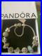 Pandora-Sterling-Silver-Bracelet-with-Authentic-Pandora-Charms-with-Box-18cm-01-lp