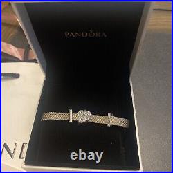 Pandora Sterling Silver Reflexions Mesh Bracelet with charms