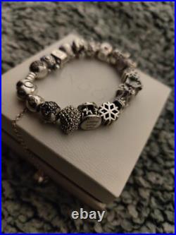 Pandora bracelet with 19 charms and Safety Chain 925 silver