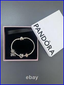 Pandora bracelet with charms