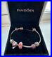 Pandora-braclet-with-charms-and-safety-chain-01-wma