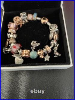 Pandora charm bracelet and 3 Loose Charms. Never Worn
