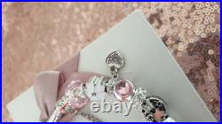 Silver Pandora Bracelet Butterfly Clasp +Charms S925 ALE 20 cm+ Pandora Box