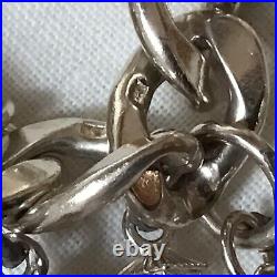 Solid Silver Charm Bracelet, Each Link With Lion Passant, Unusual Charms 99.14g