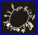 Sterling-Silver-Charm-Bracelet-17-Charms-40-1-Grams-Tested-Sterling-Vintage-01-peje