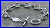 Sterling-Silver-Charm-Bracelet-With-Toggle-Clasp-Wellesley-Row-01-nk
