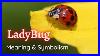 The-Meaning-Of-Seeing-Ladybugs-Symbolisms-And-Spiritual-Meanings-Of-Ladybugs-01-xmp