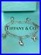 Tiffany-Co-Elsa-Peretti-Vintage-Silver-925-Open-Chain-Five-Charm-Bracelet-01-rrj