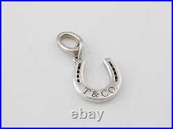 Tiffany & Co Silver 925 Horse shoe Charm Pendant Oval Clasp 4 Necklace Bracelet