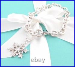 Tiffany & Co Silver Snowflake Snow Flake Charm Bracelet Box Included
