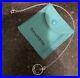 Tiffany-Co-Sterling-Silver-Anchor-charm-And-Chain-Excellent-Condition-01-gl